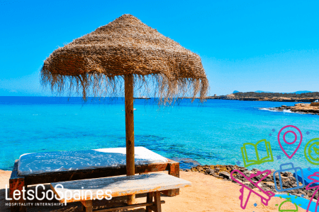 Natural beach umbrella at Ibiza beachfront.